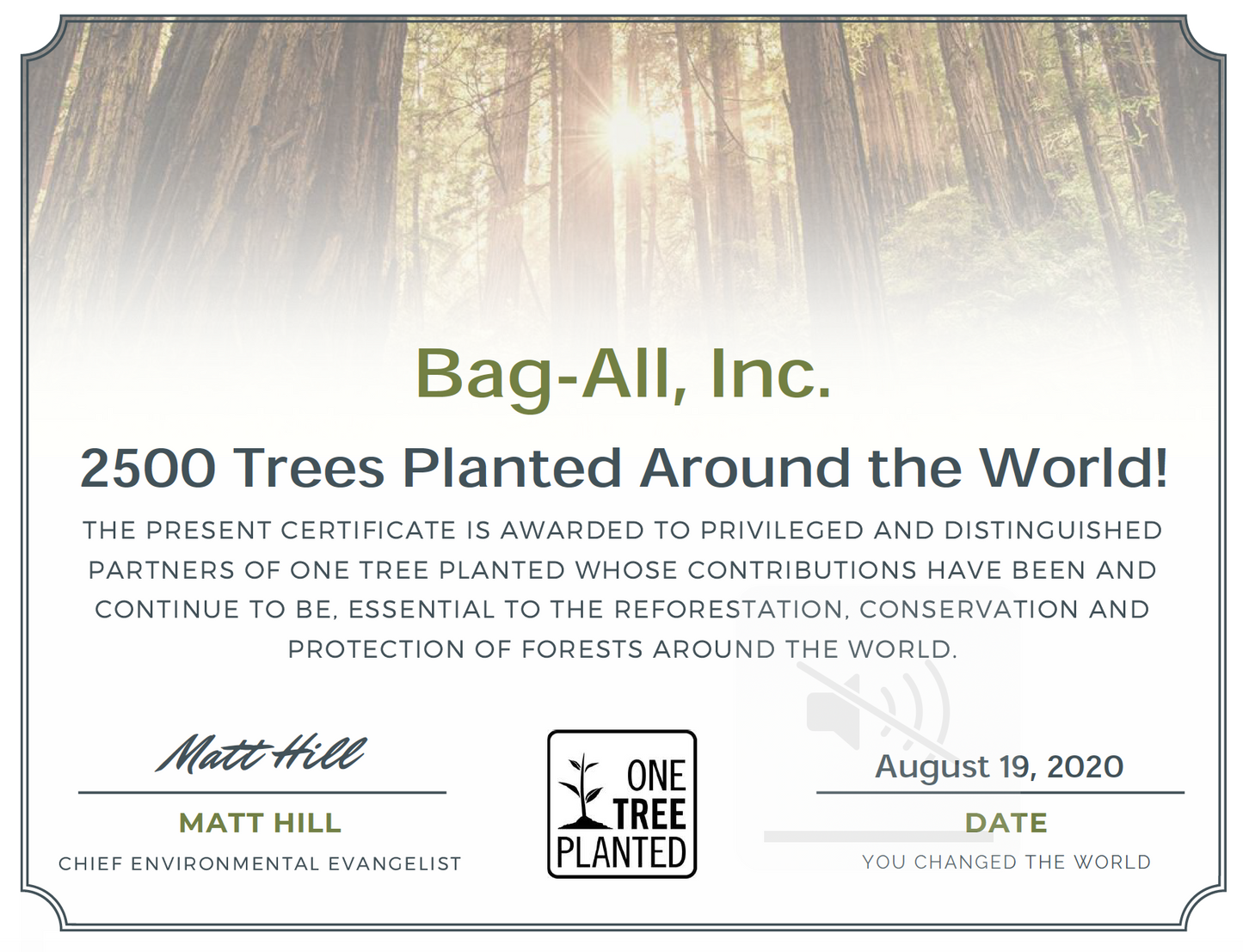 
                                      
                                        Planter un arbre - Bag-all France
                                      
                                    